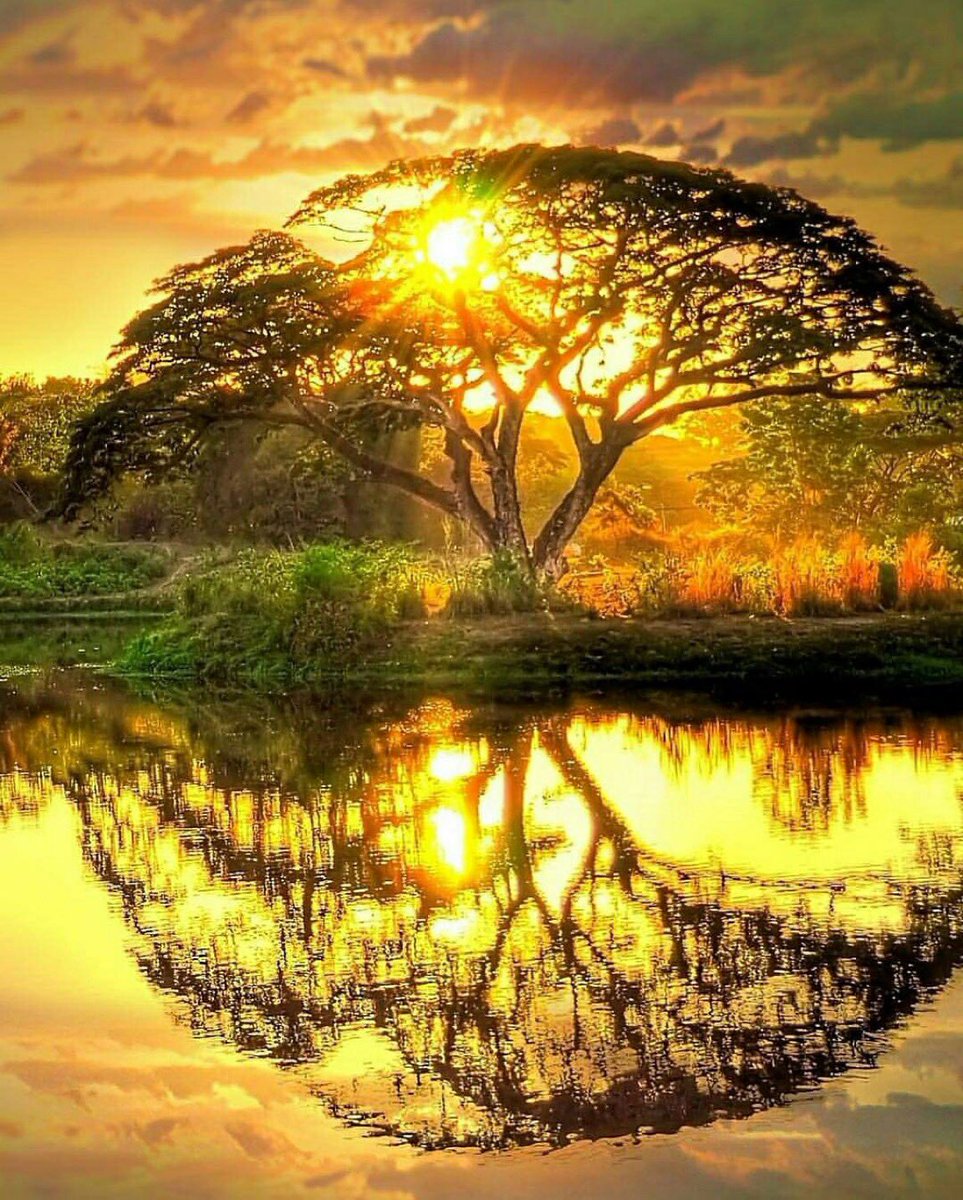 PamPeekeMD's tweet photo. A hungry stomach,

an empty wallet and

a broken heart

can teach you the

best lessons of life.

—Robin Williams

🙏 Truth 🙏 

#LifeLessons #resilience #life #lifelonglearning https://t.co/eCmsKBGuO9