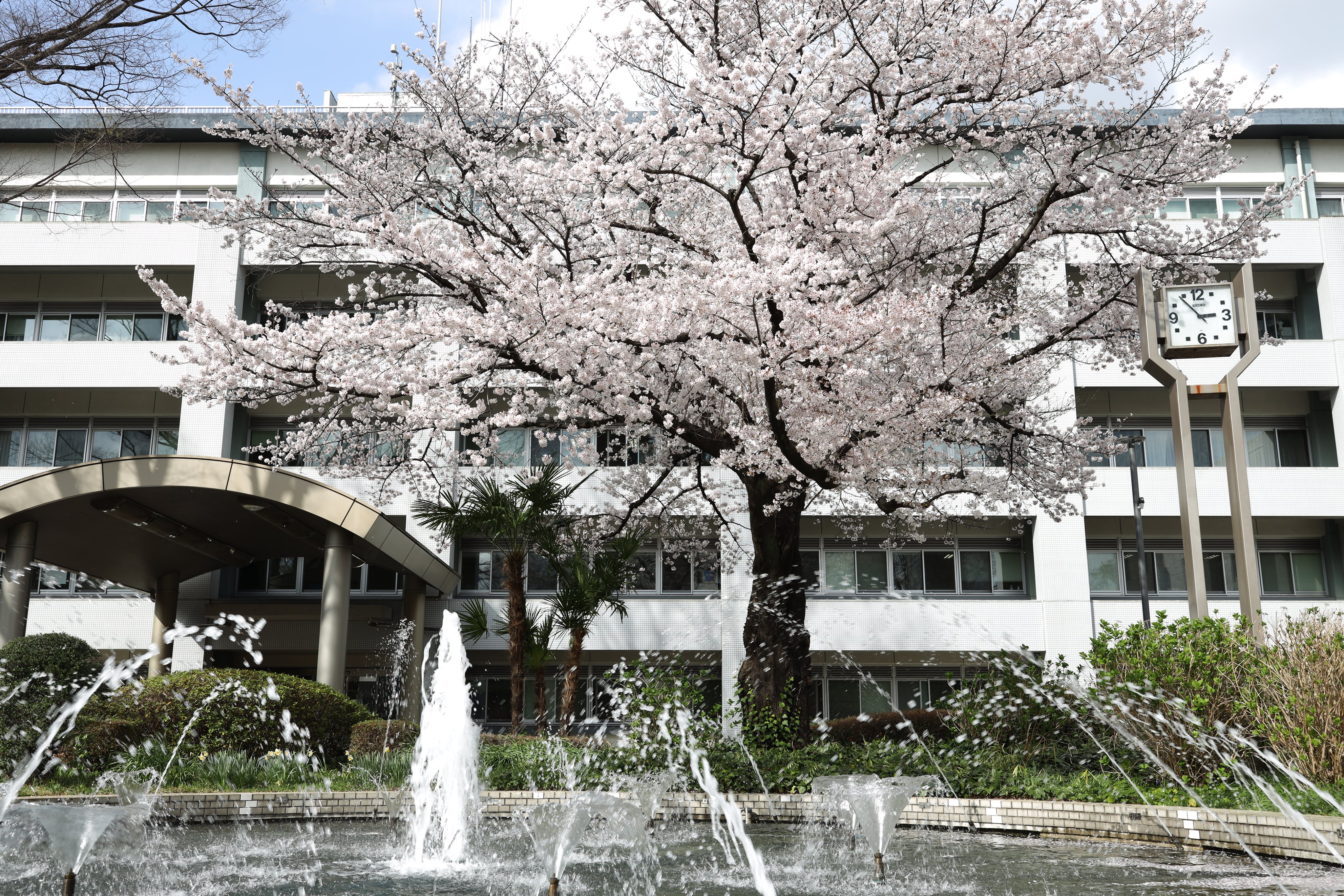 信濃路文学散歩１ 信濃路文学散歩1