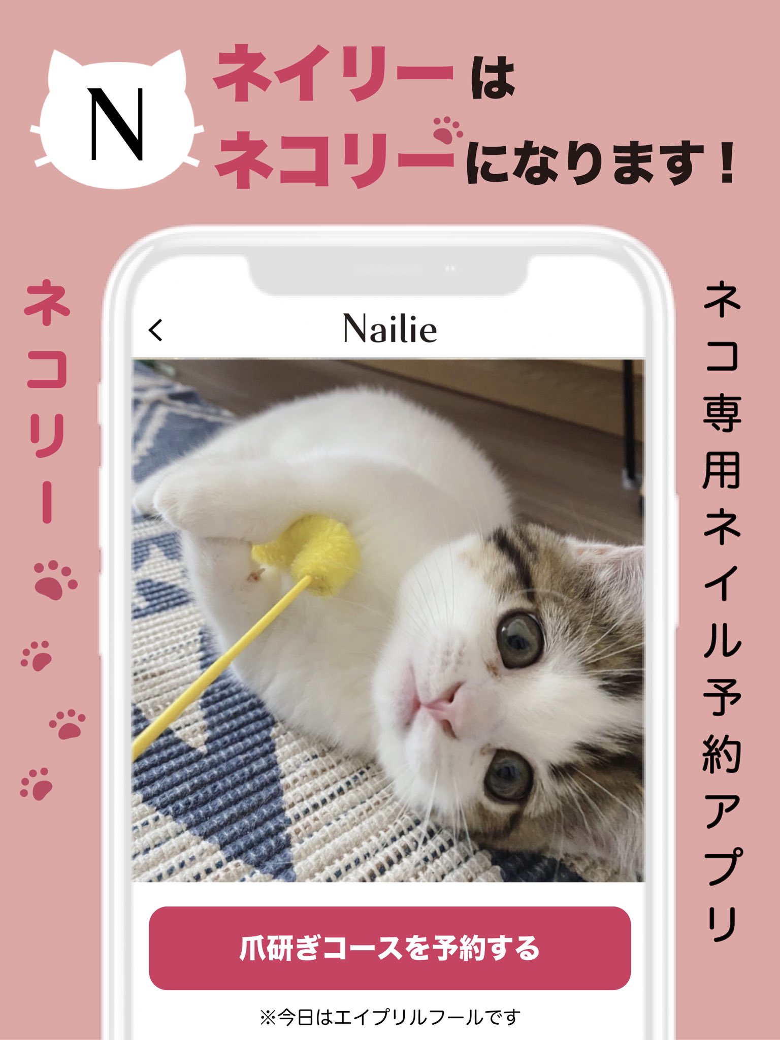 翌日発送可能】 藤沢 猫様専用ふりかけ 90g×8袋 champs21.com