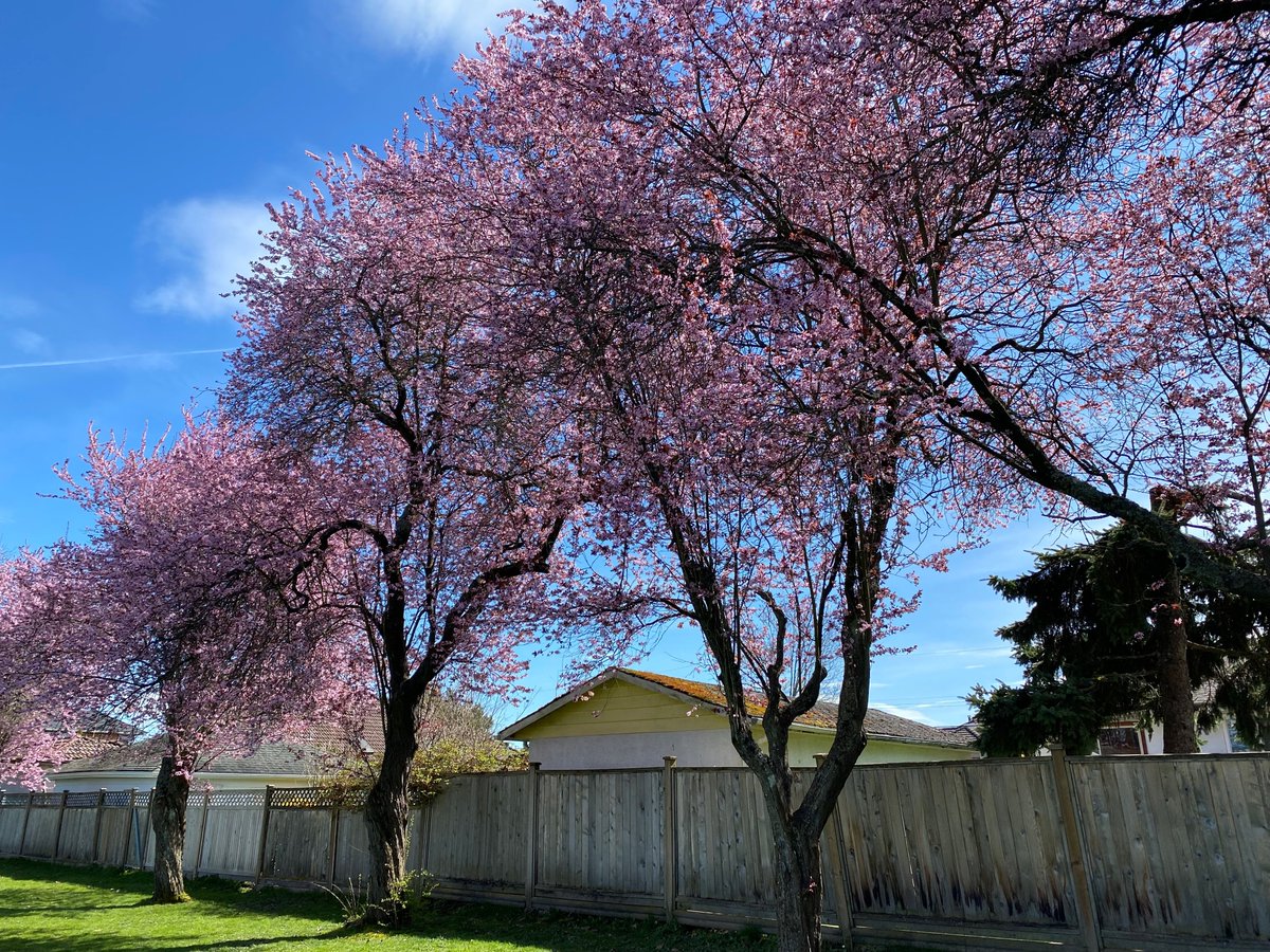 Katherine Porter tweet media