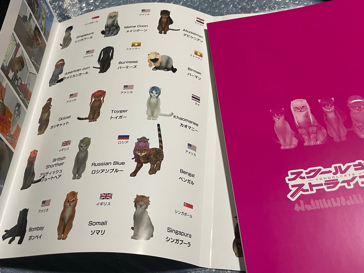 a24e's tweet photo. 当選した冊子のカバー裏はスクールキャッツストライニャーズだったりエイプリルフール全力の運営さんすこ
#スクスト #スクスト2 https://t.co/muQkO6F2CM