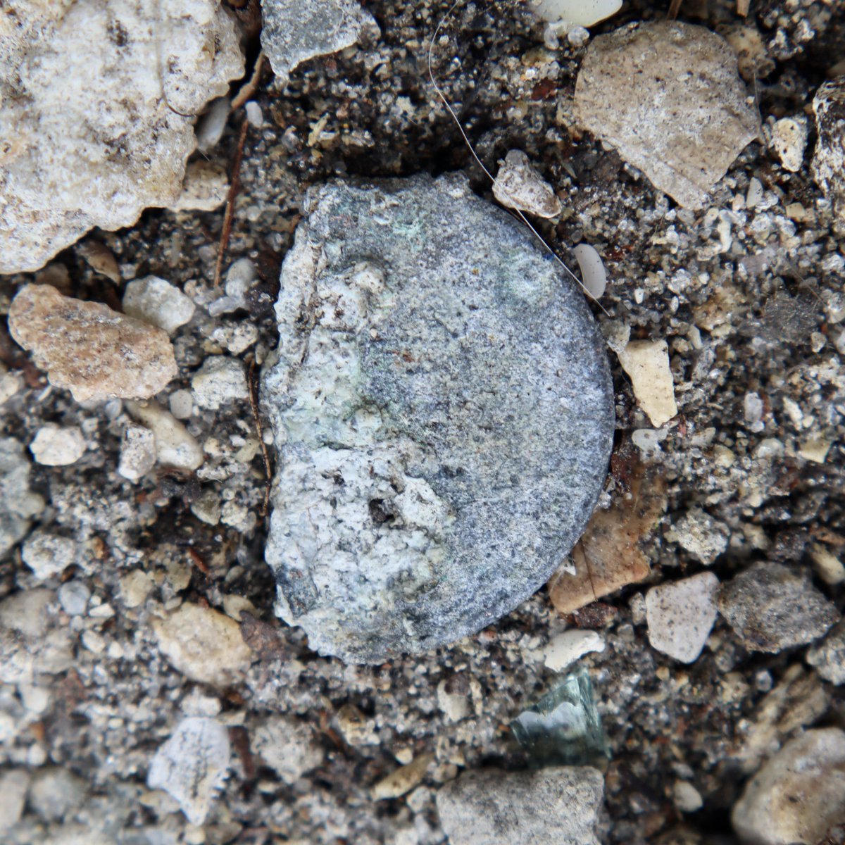 FoundObjectsNFT's tweet photo. π£ Found Objects, 2021. NFT Collection. 50 Items + physical coin. Drops Apr 15, 2022, 8am OPENSEA ππ» https://t.co/oNDkAQhdje #foundobjectsnft #foundobjects #foundcoins #nft #nftart #nftgallery #nftdrop #nftcollection #nftcollector #nftartist #ethereum https://t.co/LCwCCHoFF3