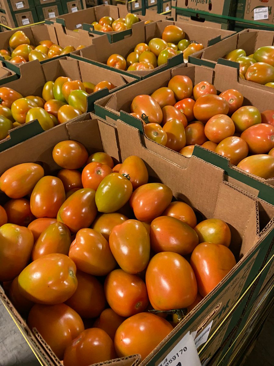 TripleHProduce's tweet photo. If you are a #TomatoLover 😍, you can't miss on these #romas #TripleHProduce label 🍅
Give a call to our #sales team to get a quote!
📲 956-782-5128 | 📧 sales@tripleh.com.mx
#TheHInFreshProduce #NowInSeason https://t.co/eCc2UAKSi3
