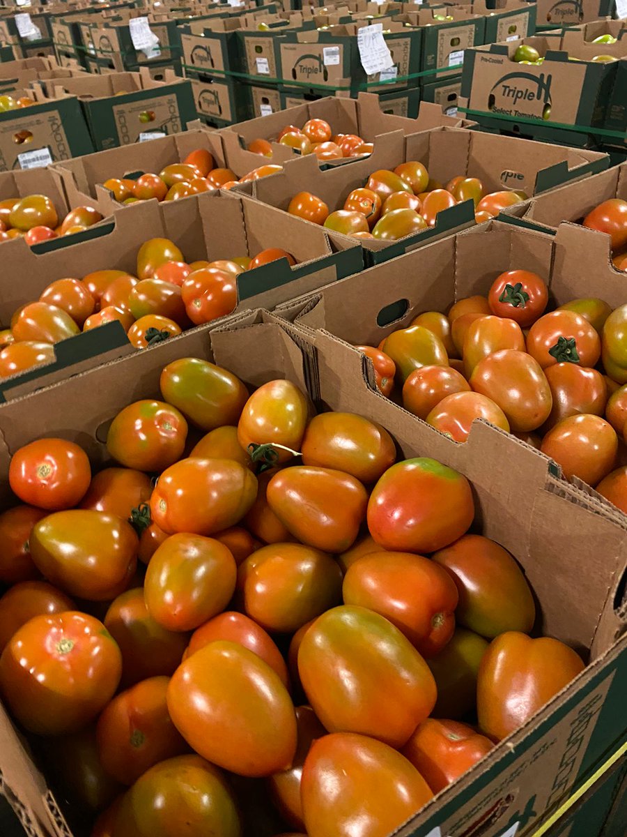 TripleHProduce's tweet photo. If you are a #TomatoLover 😍, you can't miss on these #romas #TripleHProduce label 🍅
Give a call to our #sales team to get a quote!
📲 956-782-5128 | 📧 sales@tripleh.com.mx
#TheHInFreshProduce #NowInSeason https://t.co/eCc2UAKSi3