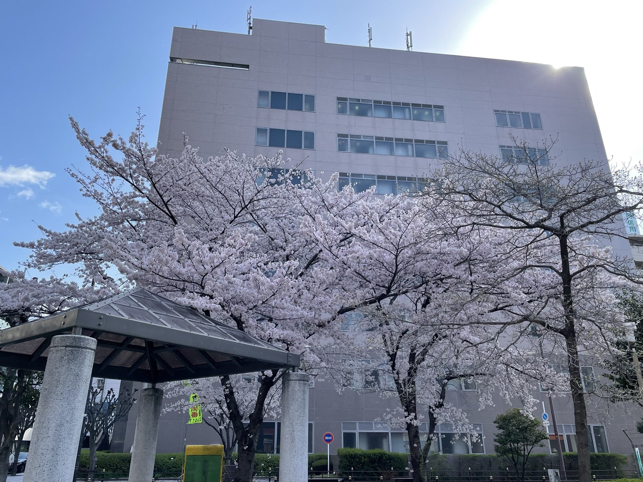 ミクニキカイ Mb部 Al Twitter おはようございます 春休みで子ども達はまだ寝てたんですが 7 30に長女の友達がピンポン鳴らしてきて ﾟdﾟ エイプリルフールのドッキリ と思ったら本気で遊ぶ気満タンでウケましたww 新入社員の皆さん 今日から頑張りましょう