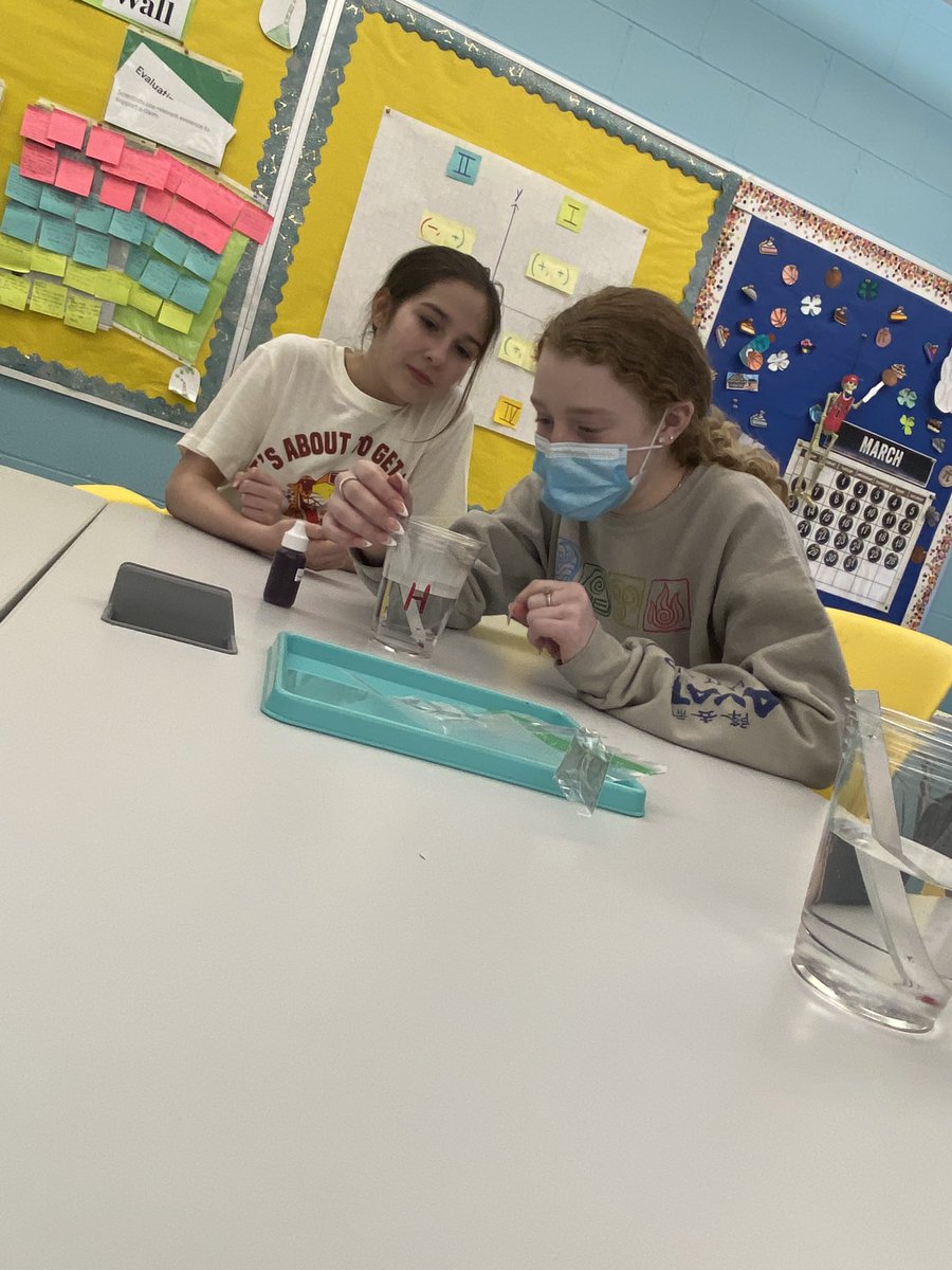AlwaysUsePencil's tweet photo. As March comes to an end, a shoutout to a few of many young ladies and minds of Science in my classroom investigating new ideas. 💡 🧬#npsdlearns #WomenHistoryMonth https://t.co/TU703sG8k9