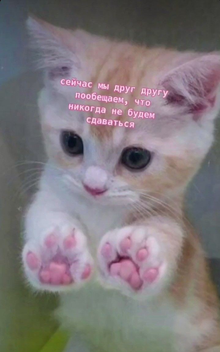 дейдара учиха-тсукури сварит тебе кофе.//support (@alcolizzato_) on Twitter photo 