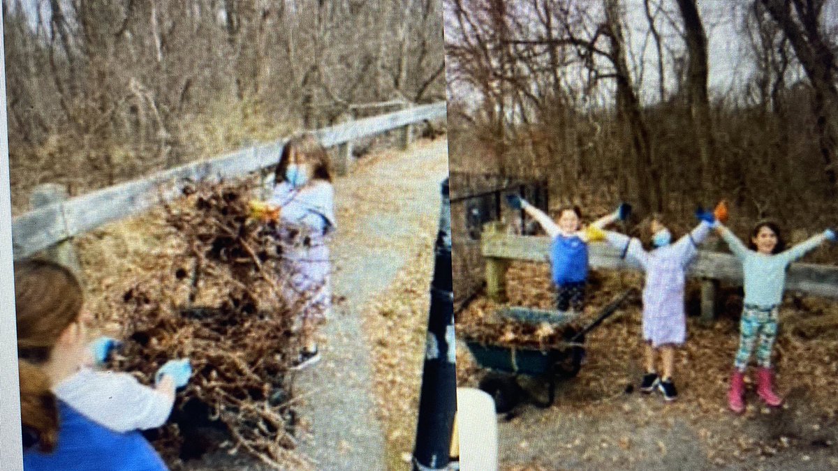 Hawk_Principal's tweet photo. Today we were busy “spring cleaning” the Harrington garden!! #readytoplant #letsgrowsomeveggies 🥬🥕🌽🫑#letsgrowflowers 🌻🌷🌸@lexingtonsuper @RoryDOConnor https://t.co/htmzvBXS7X