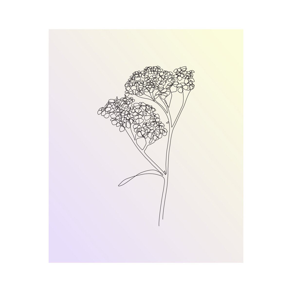 100daydelay's tweet photo. ‘Yarrow’ is out on Spotify today!

https://t.co/JWWI1Zz6fo https://t.co/jK9BVuWLxY