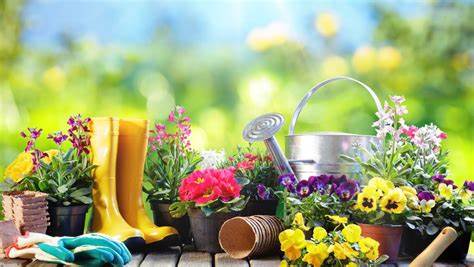 CashCob's tweet photo. April Showers!  Bright &amp; beautiful new arrivals at all of our stores.  Check out our newsletter for all of the fabulous finds and showers of savings.  https://t.co/Wnqg2jISO0 https://t.co/5q9woS9q4t