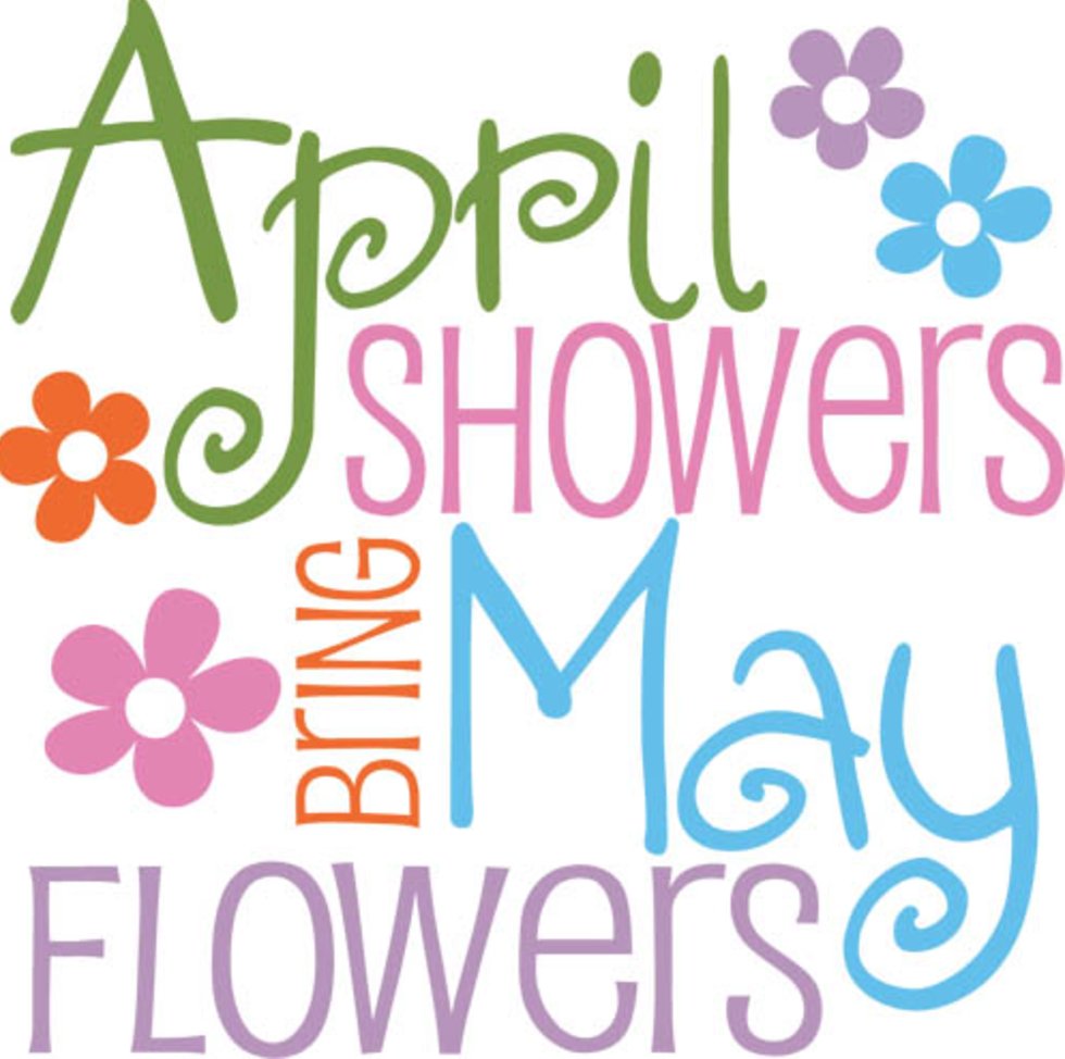CashCob's tweet photo. April Showers!  Bright &amp; beautiful new arrivals at all of our stores.  Check out our newsletter for all of the fabulous finds and showers of savings.  https://t.co/Wnqg2jISO0 https://t.co/5q9woS9q4t