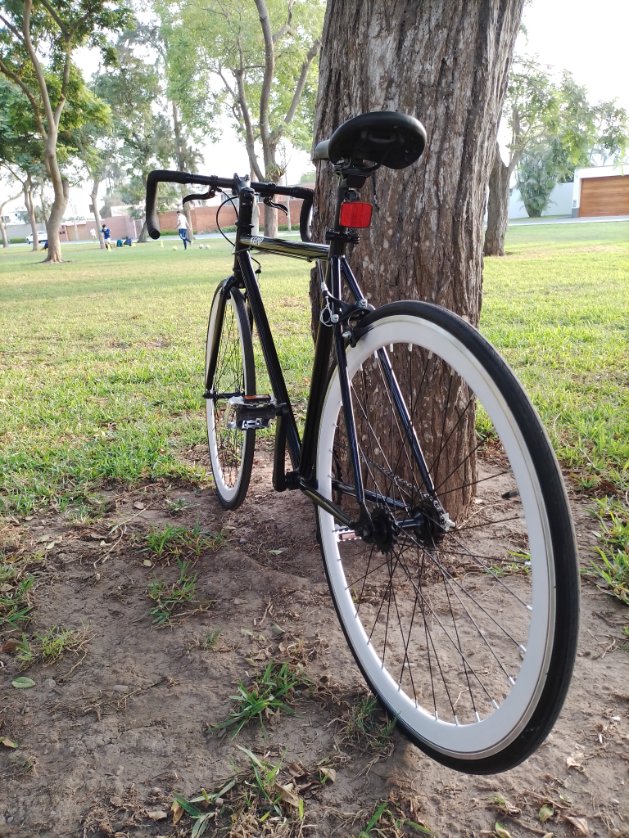 eduardo_recoba's tweet photo. Tuvieron que pasar cuarenta años para que Eduardo monte una rutera por las calles de Camacho, calles que lo vieron crecer.
~ Volví a tener trece años.
➡️ Gracias Kemp Bikes...🚲
#infancia #childhood #fixedgear #dropbar #classic #bikes https://t.co/dhAcSCgCAi