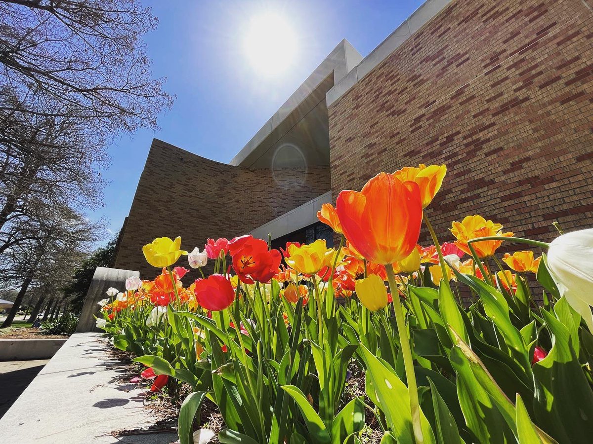 DSUGradStudies's tweet photo. It’s beginning to look a lot like spring @DeltaState, and you know what that means! Pre-registration is just around the corner! Grad students are eligible to enroll for Summer I/II and Fall on Monday, April 4. Contact your coordinator or email grad-info@deltastate.edu for help. https://t.co/XY02wfeRW0