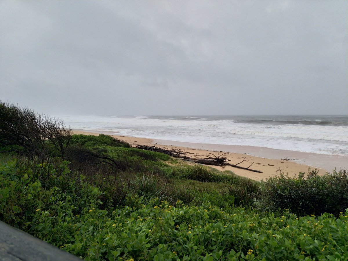 aj_aspire's tweet photo. The wild wet weather continues bit we managed a quick walk at the beach this morning. Lots of debris about. Thinking of all those who have lost homes and businesses in this. Don't tell me there is no climate change #climatechange #ClimateAction #LaNina #bigwet #bigwinds https://t.co/HEI66V11UR