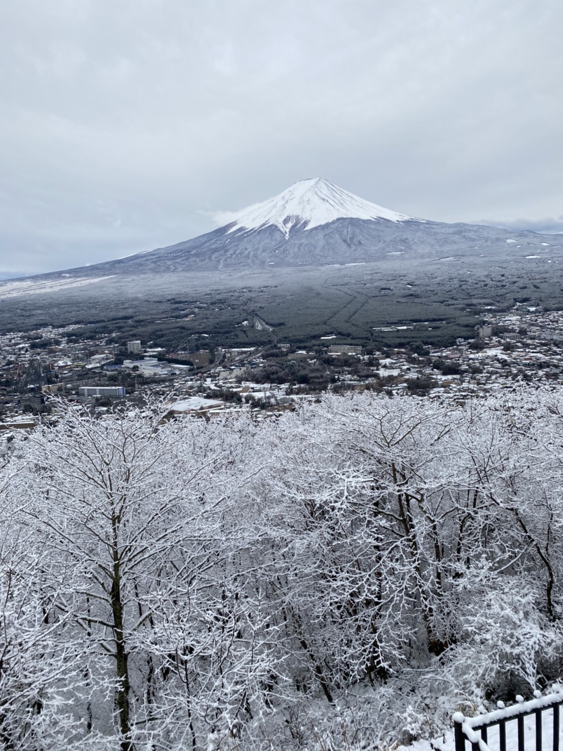 河口湖 富士山パノラマロープウェイ 公式 Kachi2 Yama Twitter