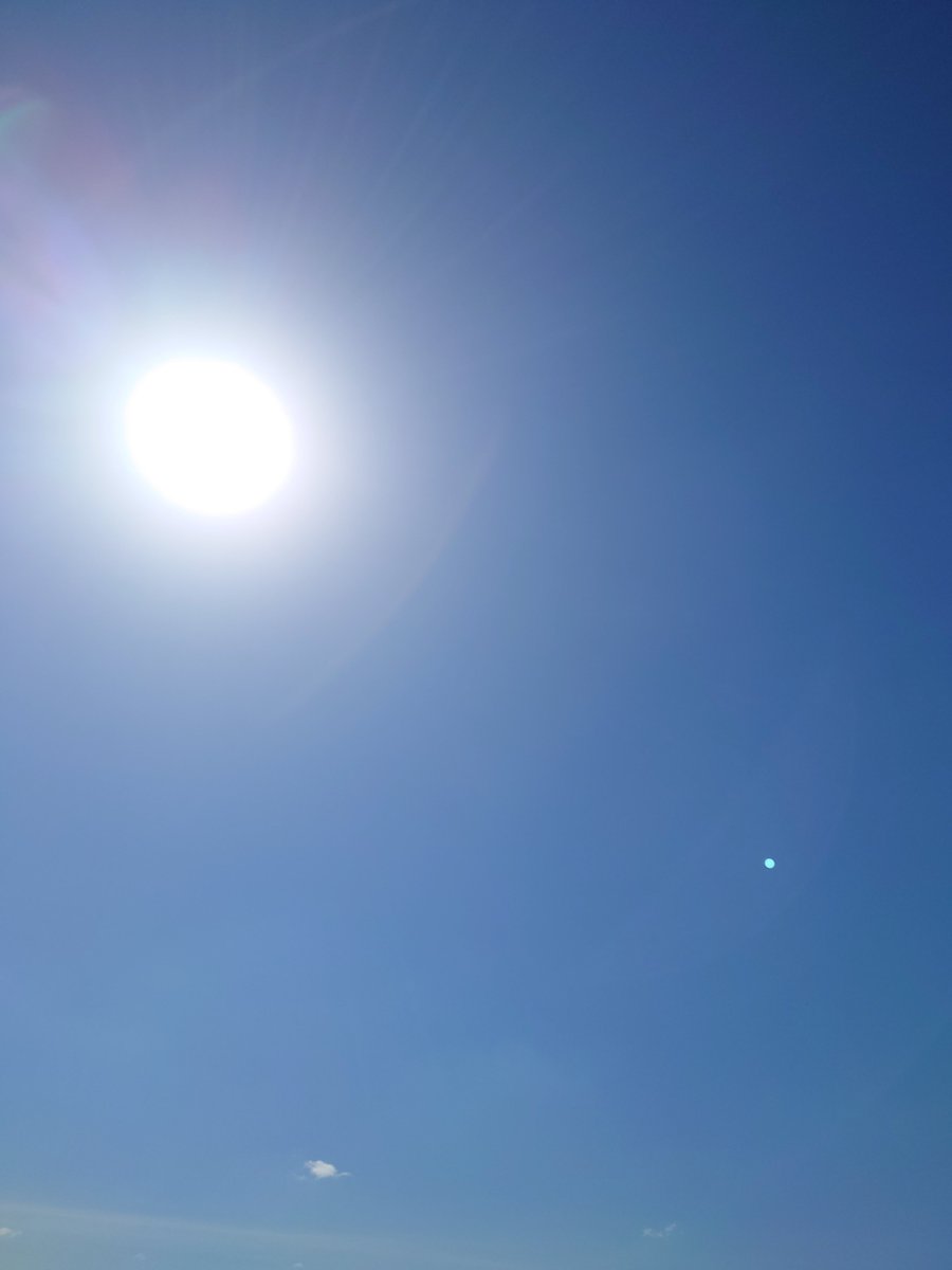 黒くまぷりん＠検索１位趣味ブロガー tweet media