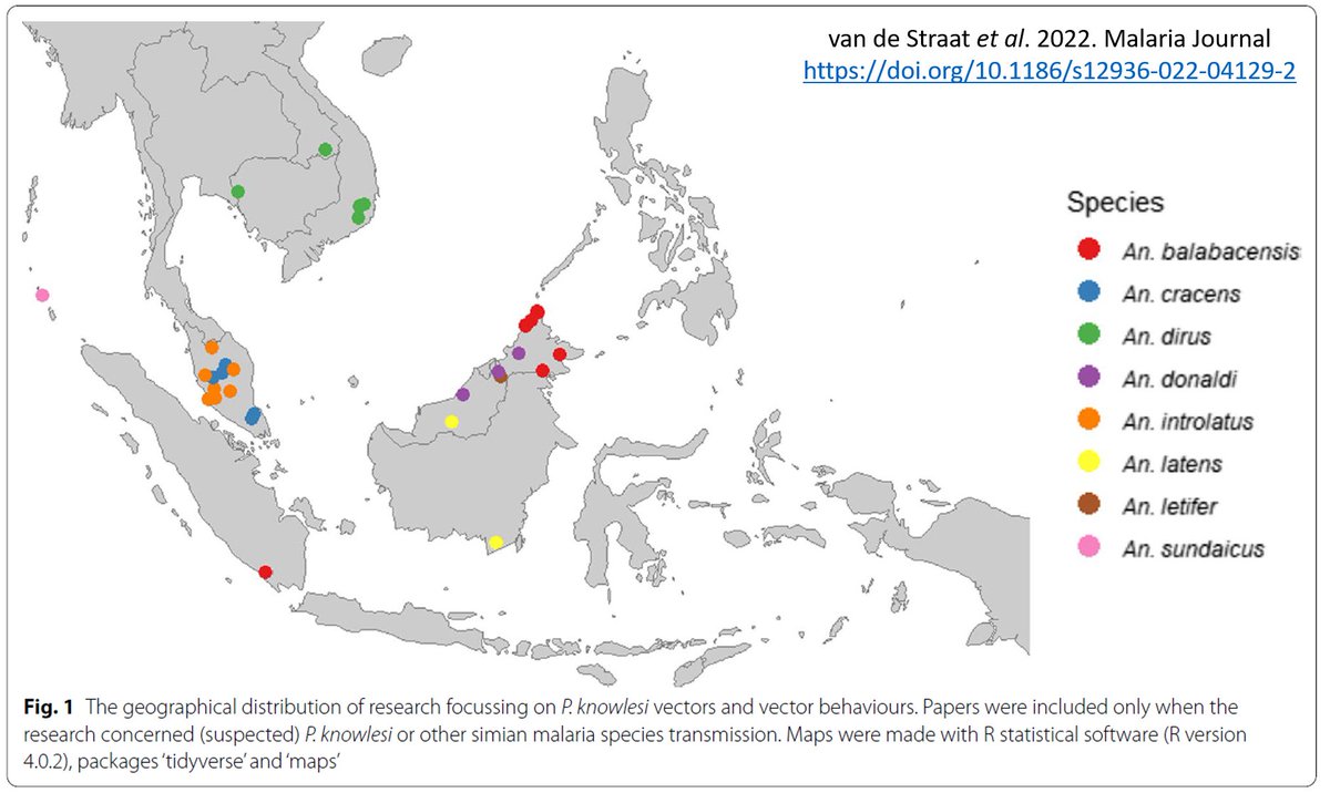 JCU_mossies's tweet photo. Plasmodium knowesli - What is known about the vectors is limited. The vectors with confirmed transmission to humans are in the Leucosphyrus Group, and there is massive fine scale geographic variation. Read more here:
https://t.co/ppaV67KDr1
Congratulations Bram on a great review https://t.co/zj3EJLhv2D
