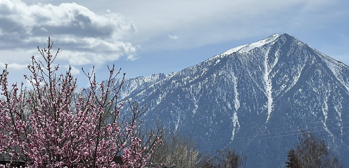 LivingROI tweet media