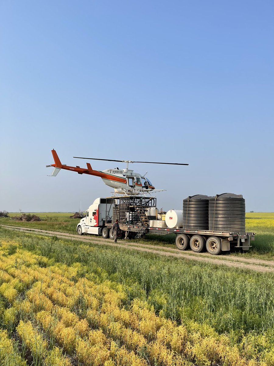 Hanley Heli tweet media