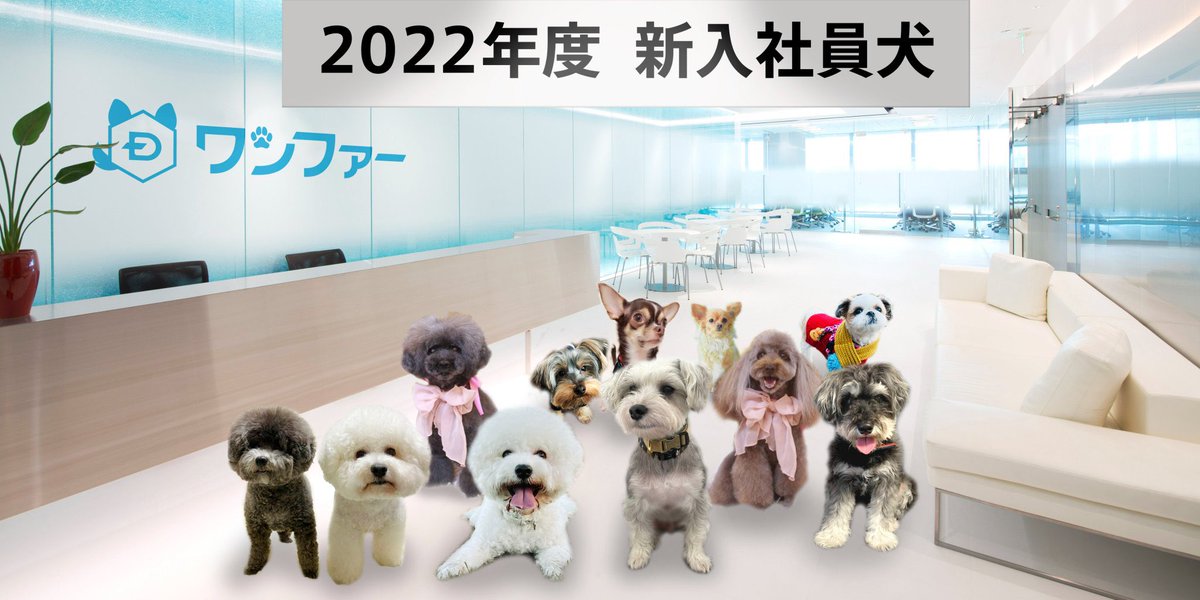 な、な、なんと😳‼️
愛犬家の皆様聞いてください...スカルプDのアンファーが今日から社名を変更して『ワンファー』になります🐾
しかも新入社員ならぬ新入犬が今日から仲間に加わりました🐕🐕‍🦺

#嘘か本当かわからないことを言う
#新社会人 #満員電車
#プレゼント企画 (詳細はInstagramにて)