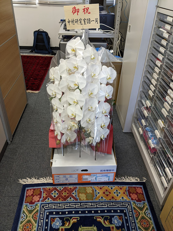 muretti0114's tweet photo. あいさつ回りしていると，中村研OBの皆さんからお花のサプライズが届きました．みんな本当にありがとう！巨大な胡蝶蘭が届いて工学部事務が一時騒然となりました．中村研2.0新装開店です (^^) https://t.co/O7ljn5MsYU