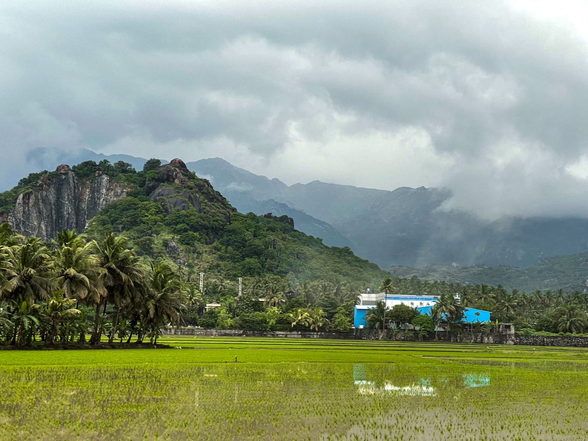 Ntk_Vilavancode's tweet photo. There are many broken stories behind the Evergreen District!

Broken💔Mountains of Kanyakumari..

#nagercoil
#Kanyakumari
#SaveKumariMountains https://t.co/ZkbjMesMFs