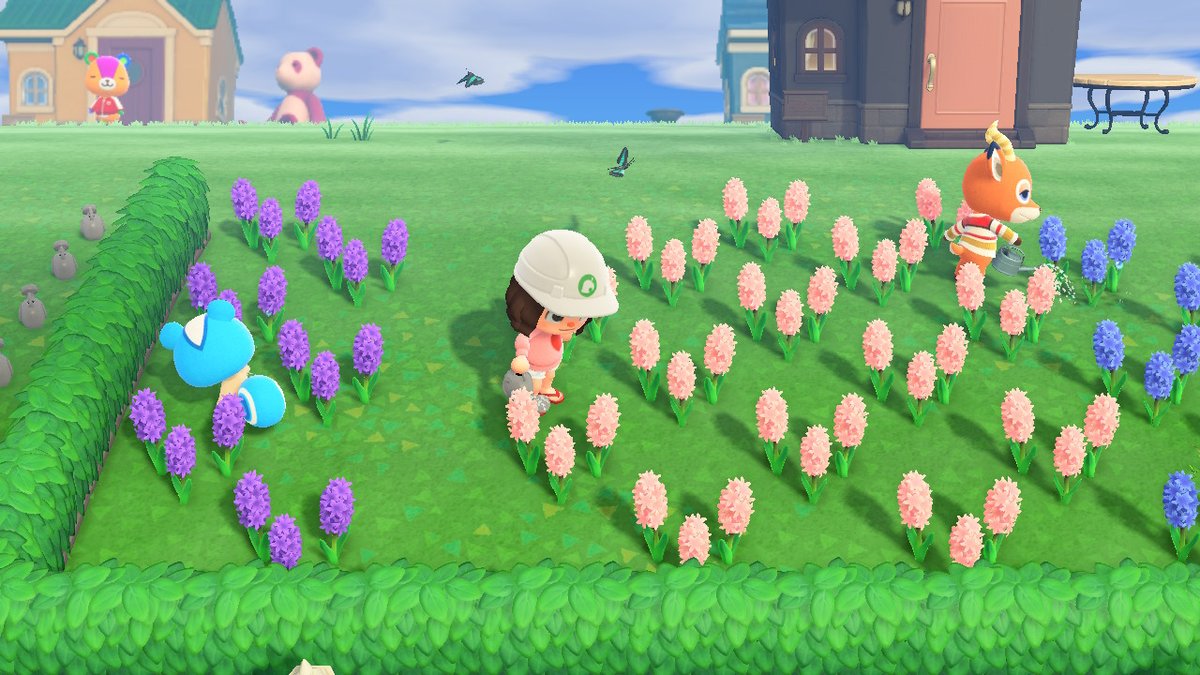 mamamiacnh's tweet photo. 2020 vs 2022, i think beau and i got carried away w the flowers https://t.co/Qxv5JS8czi