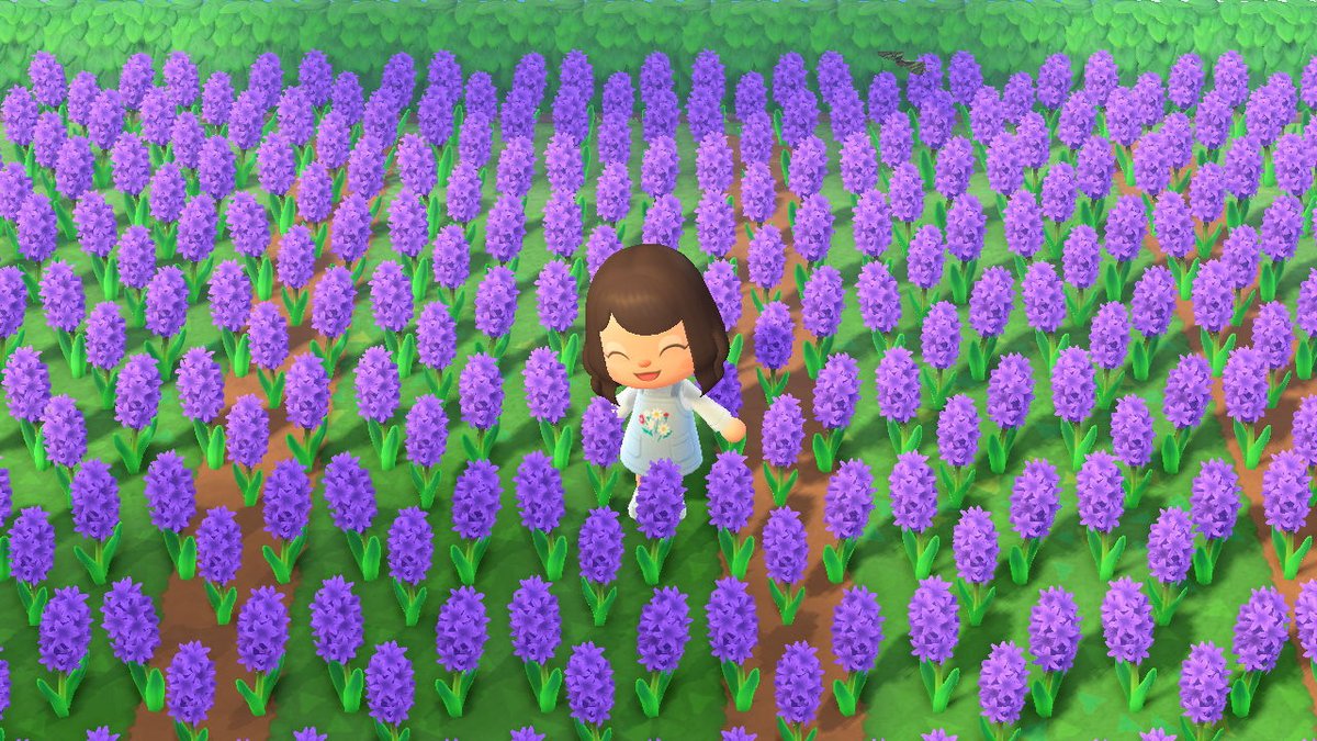 mamamiacnh's tweet photo. 2020 vs 2022, i think beau and i got carried away w the flowers https://t.co/Qxv5JS8czi