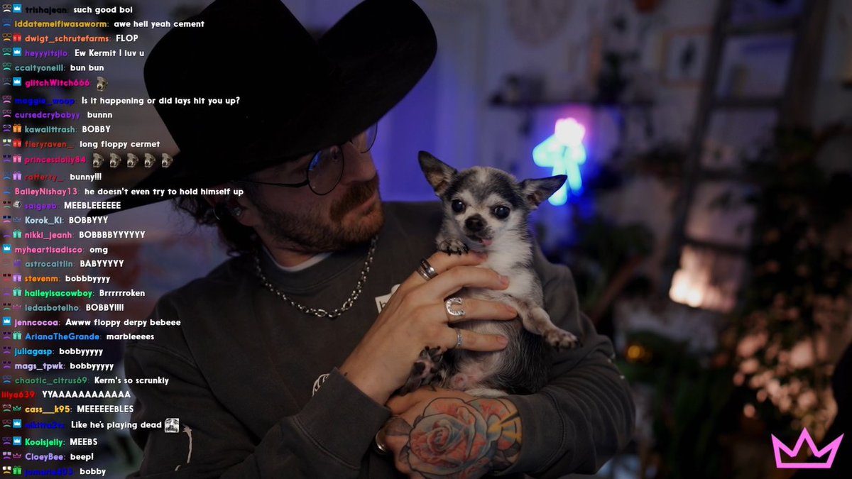 The Nasty Files📁 tweet media