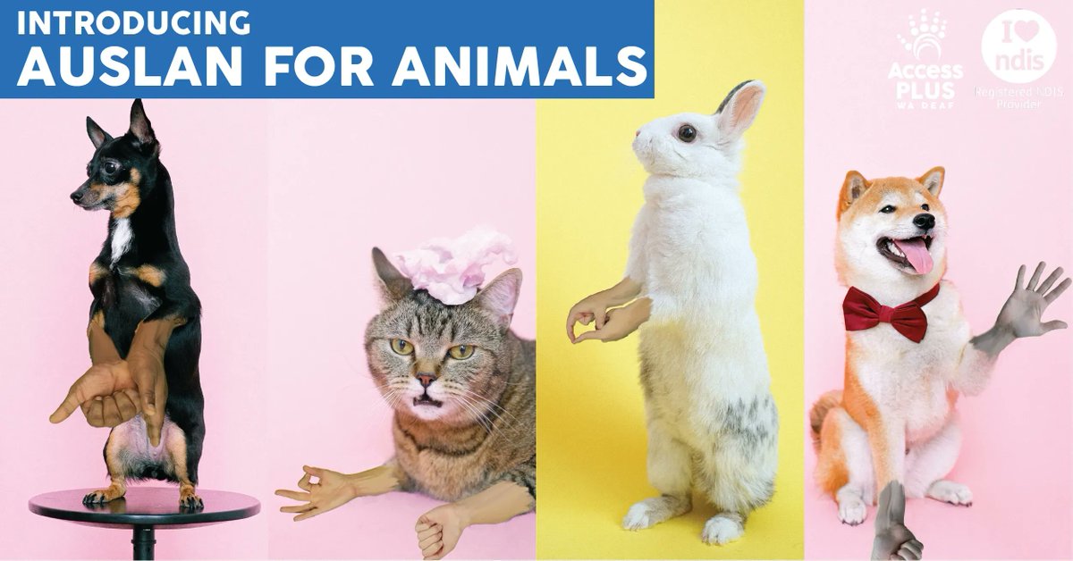 Access Plus WA Deaf tweet media