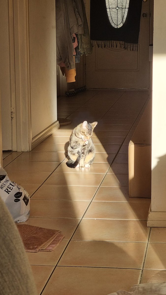 claireypee's tweet photo. Oh look, an actual angel lives in my house now https://t.co/oEJcaOsRSY