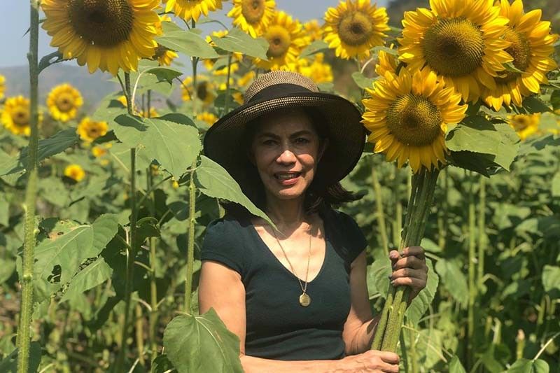 lopezlinkph's tweet photo. Gina Lopez-founded GStuff remains committed to support community-based social enterprises https://t.co/nAYRukSTG4
#ABSCBNFoundation #GinaLopez #GStuff #PamayananPopUp #PowerPlantMall #socialenterprise #communityenterprise https://t.co/CXNu6kdXEe