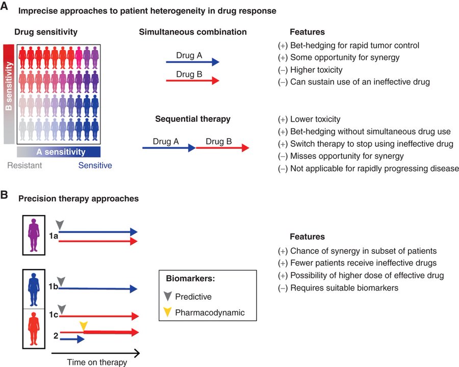 Elizabeth McKenna (@elizsmckenna) on Twitter photo If you're watching the #AACR22 session on Drug Resistance Challenges/Prospects - don't miss the review in <a href="/CD_AACR/">Cancer Discovery</a> by speaker <a href="/sorger_peter/">Peter Sorger</a>: Independent Drug Action in Combination Therapy: Implications for Precision Oncology <a href="/PlanaDeborah/">Deborah Plana, MD, PhD</a> <a href="/ac_palmer/">Adam C Palmer</a> aacrjournals.org/cancerdiscover⦠If you're watching the #AACR22 session on Drug Resistance Challenges/Prospects - don't miss the review in <a href="/CD_AACR/">Cancer Discovery</a> by speaker <a href="/sorger_peter/">Peter Sorger</a>: Independent Drug Action in Combination Therapy: Implications for Precision Oncology <a href="/PlanaDeborah/">Deborah Plana, MD, PhD</a> <a href="/ac_palmer/">Adam C Palmer</a> aacrjournals.org/cancerdiscoverā¦