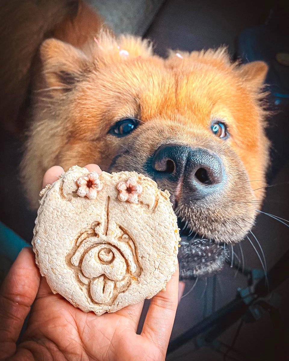 cam🔅 (@camigahete) on Twitter photo Amo mi trabajo. Mira si no vas a amar recibir este tipo de fotos al terminar el día, somos lo máximo en <a href="/petgourmetpy/">@petgourmetpy</a> ❤️ Amo mi trabajo. Mira si no vas a amar recibir este tipo de fotos al terminar el día, somos lo máximo en <a href="/petgourmetpy/">@petgourmetpy</a> ❤️