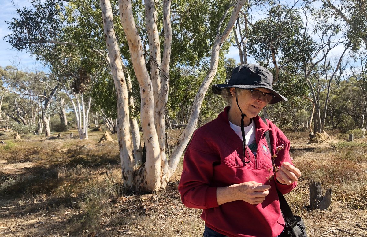 Juliet Wege tweet media