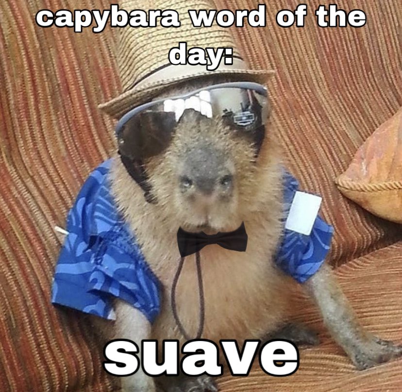 capywrdoftheday's tweet photo. day 58: suave 😏 // yea // #capybara #capybarawordoftheday #suave #lol https://t.co/U1mibFBIPm