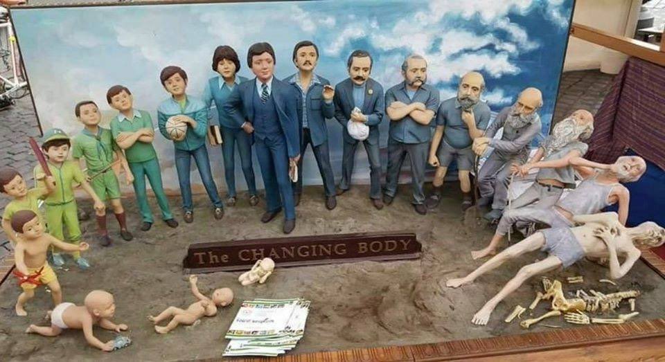 EnsedeCiencia's tweet photo. El ciclo de la vida. https://t.co/MlFjStPuH9