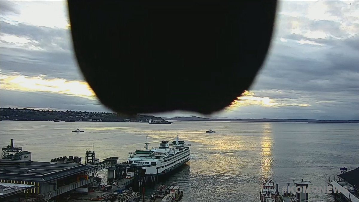 danthetruckguy's tweet photo. I'm just trying to record the #sunset from the @komonews @bigfishgames #TowerCam on the #Seattle waterfront and this Seagull just don't care. #DownInFront! #MoveIt #Tailfeather https://t.co/Itn2VHzYPa