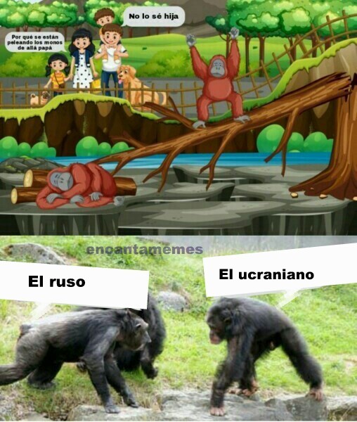Encantamemes tweet picture
