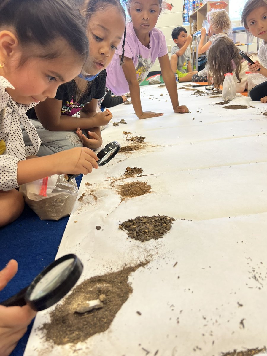 mrsleticiaberry's tweet photo. In love with this picture. Soil investigation. we sifted & explored what’s in our soil sample #thecoleway #NISDelemscience https://t.co/IykVrhULXM