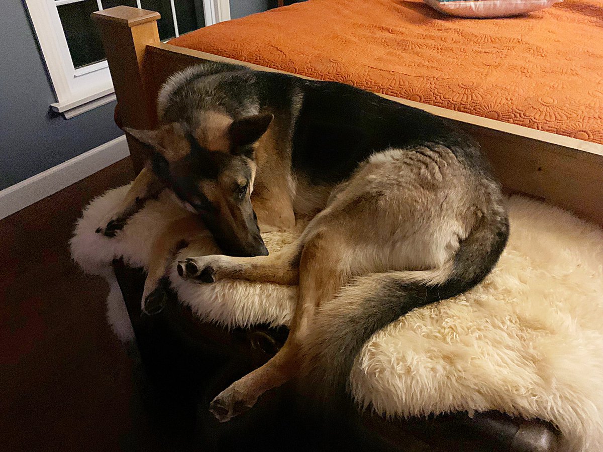 Cami Ryan, PhD tweet media