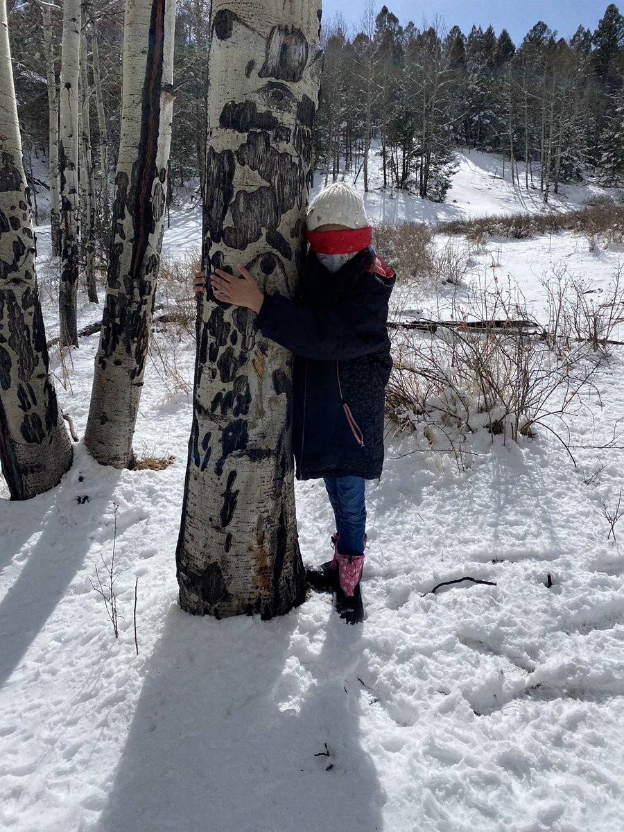 Principal Park tweet media