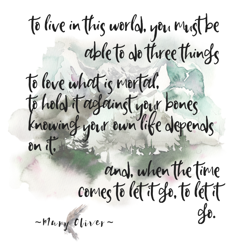 JennSilverwood's tweet photo. To anyone who's wondered, I've been MIA after suddenly losing my aunt, plus worrying health issues in my #lasttrimester of #pregnancy. Still publishing #BlackbriarCove before baby's May date but definitely focusing on health & family💜#writingcommunity #amwriting #writinglife https://t.co/i9TQEhXGcE