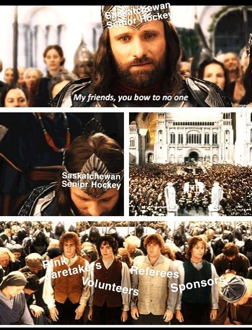 Sask Sr. Memes tweet media