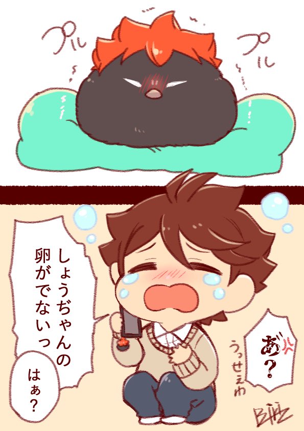 及日

ヒナガラスと付き合ってるオイカーさん

岩「……無精卵だよな?」 
