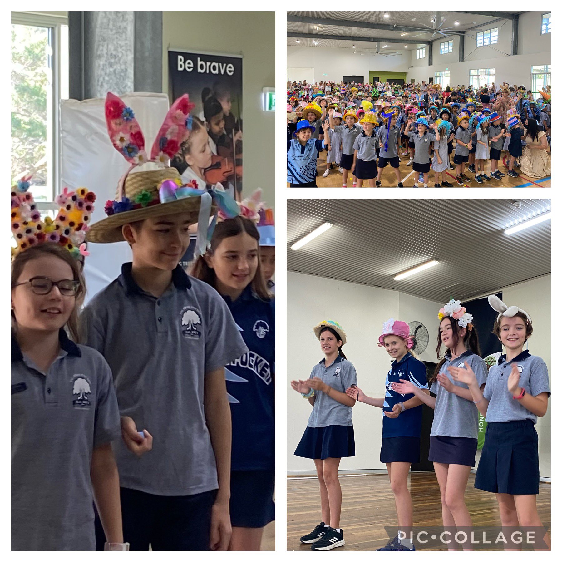 Fig Tree Pocket State School Logo School Partnerships Australian