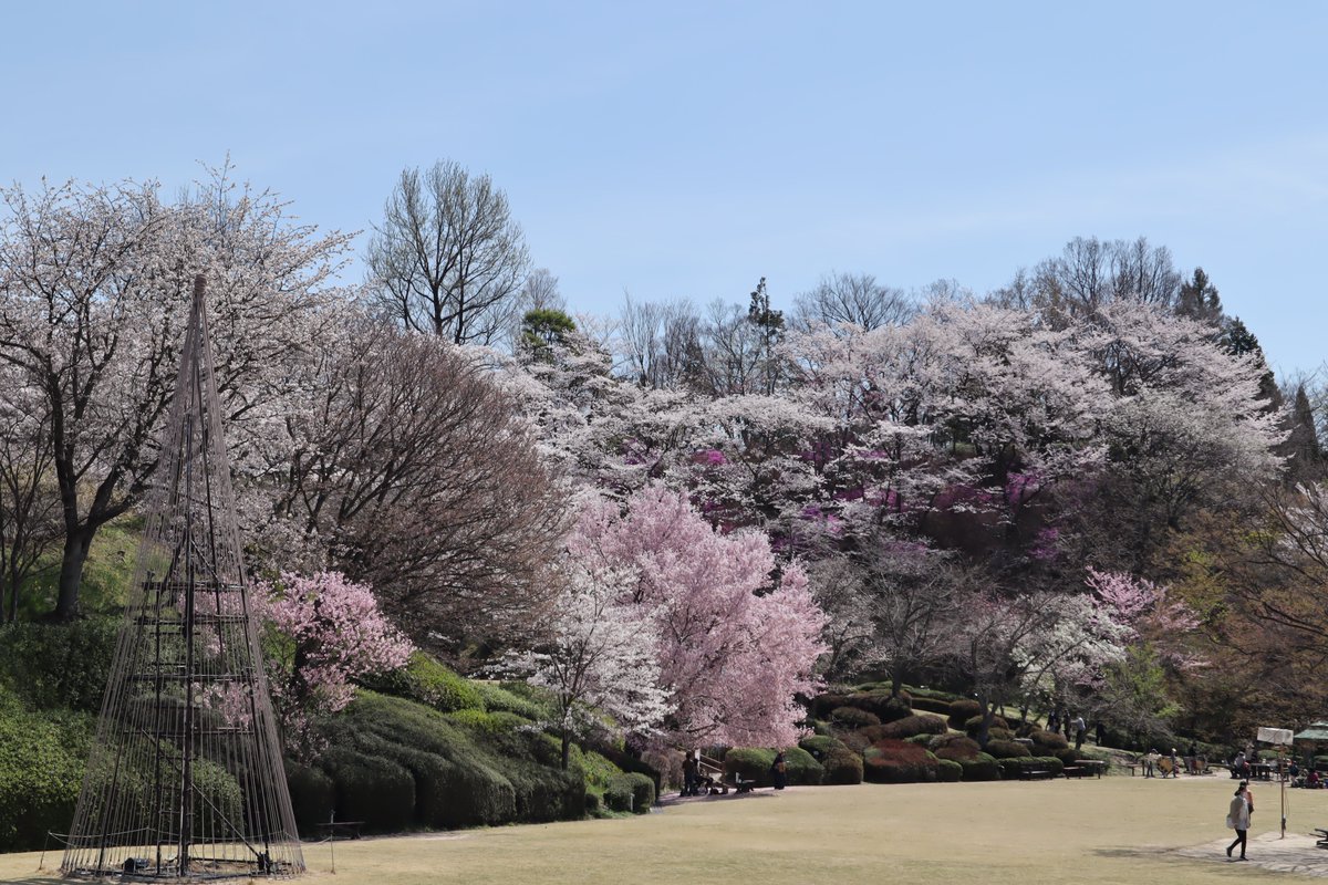 広島市植物公園 Hbghiroshima Twitter