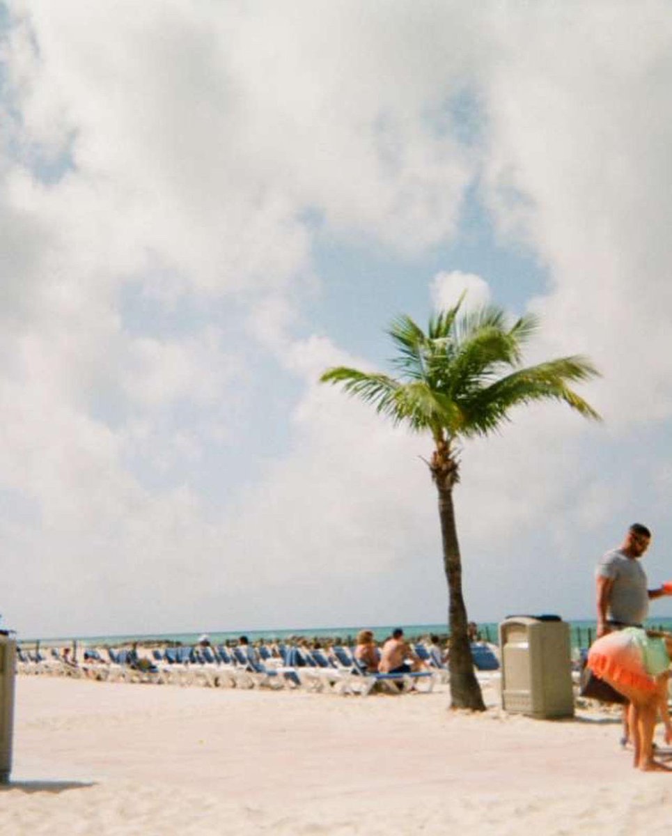 naaaaadiaaa's tweet photo. i love a disposable camera https://t.co/DIDN4iqRCR