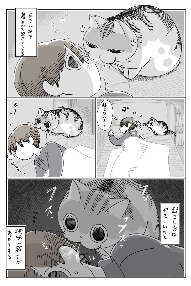 鼻息で起こすネコ
https://t.co/1wFgR3Zw4a 