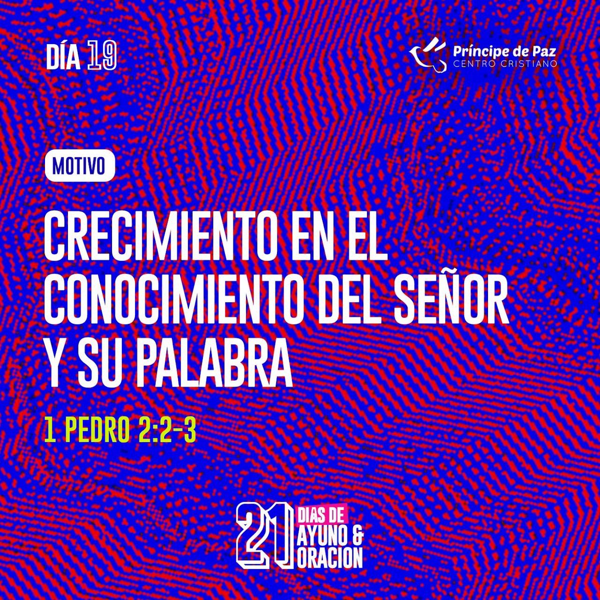 CCPPArg's tweet photo. Dia 19 🔥 https://t.co/HR2NK0NysR
